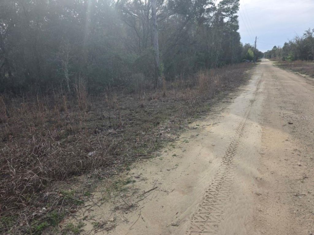 NE 60 PLACE, Bronson, FL 32621