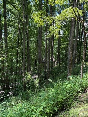 Lot 49 Rocky Ridge Road 49, Balsam, NC 28707