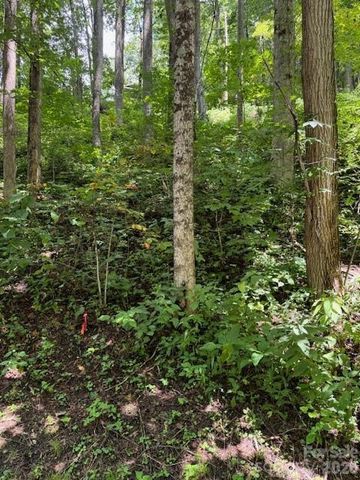 Lot 49 Rocky Ridge Road 49, Balsam, NC 28707