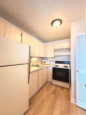 4250 N Marine Drive 1432, Chicago, IL 60613