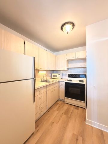 4250 N Marine Drive 1432, Chicago, IL 60613