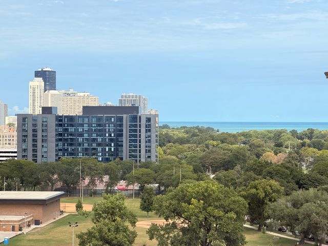 4250 N Marine Drive 1432, Chicago, IL 60613