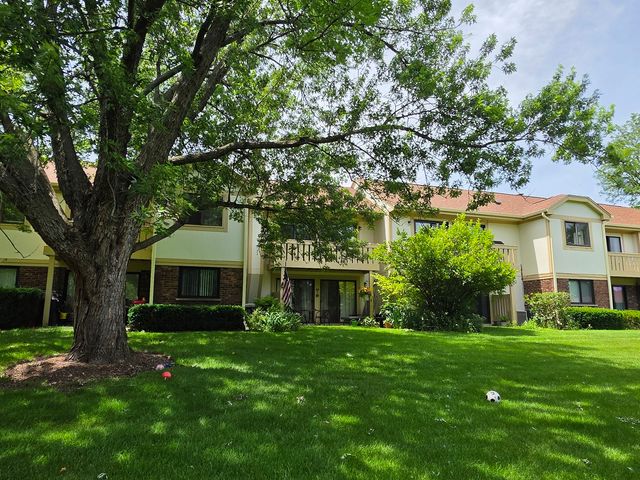 733 Plum Tree Court C2, Wheeling, IL 60090
