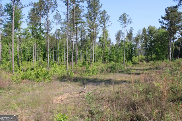 0 Ga Hwy 87 Tract 1, Forsyth, GA 31029