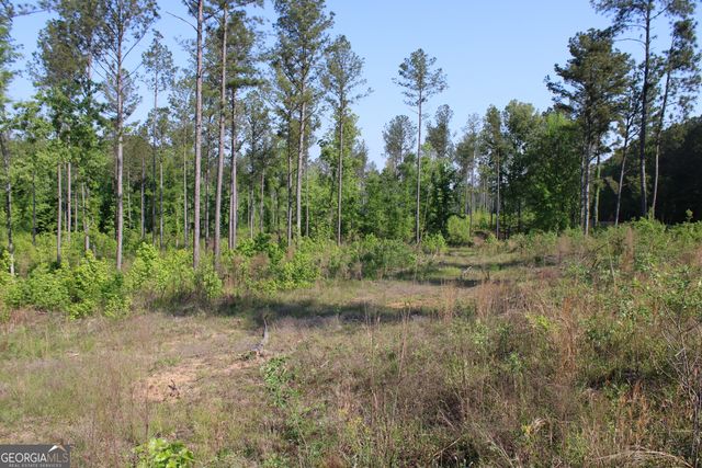 0 Ga Hwy 87 Tract 1, Forsyth, GA 31029