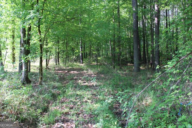 0 Ga Hwy 87 Tract 1, Forsyth, GA 31029