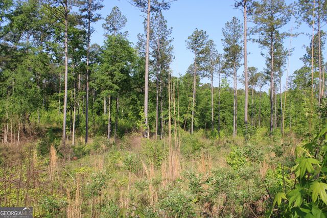 0 Ga Hwy 87 Tract 1, Forsyth, GA 31029