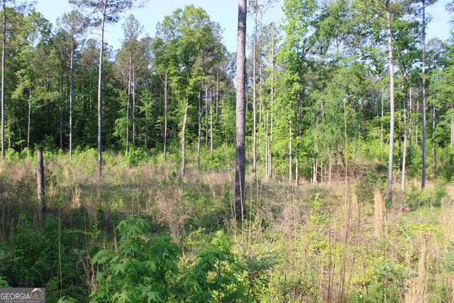 0 Ga Hwy 87 Tract 1, Forsyth, GA 31029