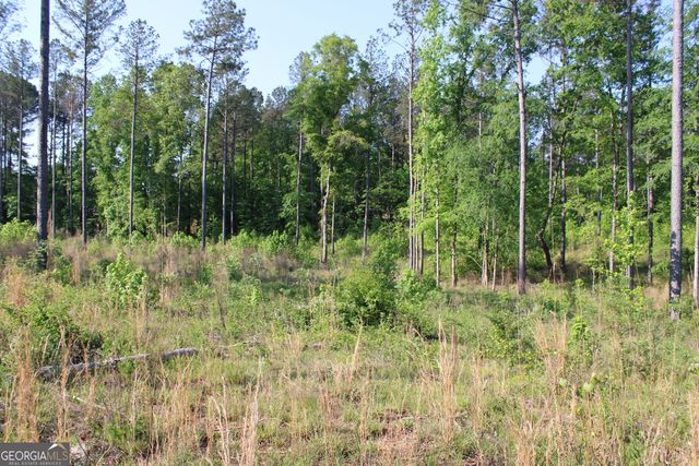 0 Ga Hwy 87 Tract 1, Forsyth, GA 31029