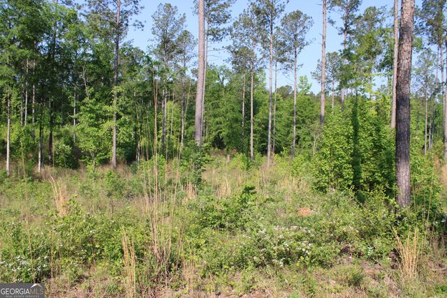 0 Ga Hwy 87 Tract 1, Forsyth, GA 31029