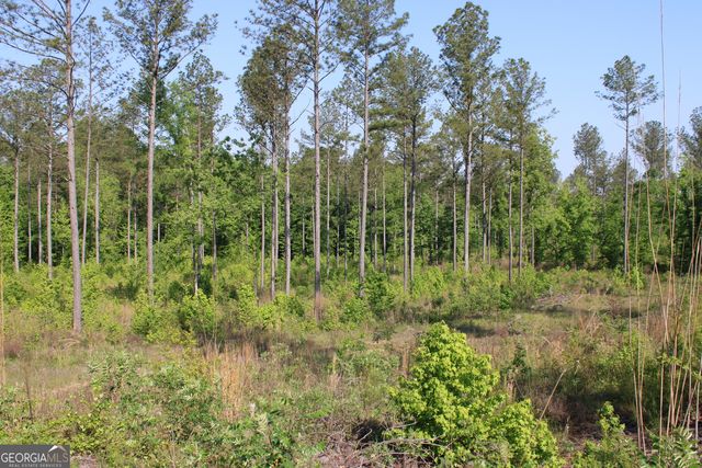 0 Ga Hwy 87 Tract 1, Forsyth, GA 31029