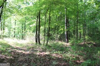 0 Ga Hwy 87 Tract 1, Forsyth, GA 31029
