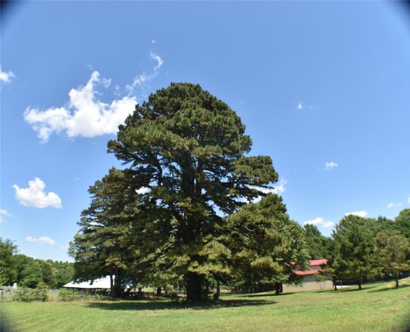 134 County Road 2749, Mineola, TX 75773
