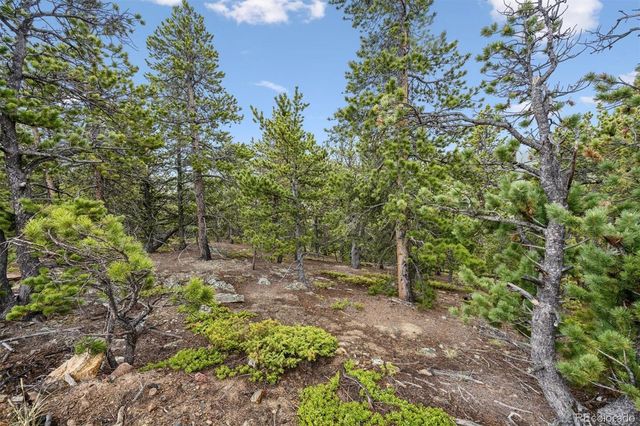 257 Sunny Skies Trail, Idaho Springs, CO 80452