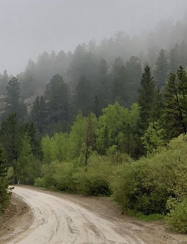 257 Sunny Skies Trail, Idaho Springs, CO 80452