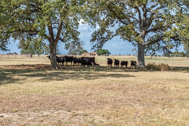 800 Vz County Road 2807, Mabank, TX 75147