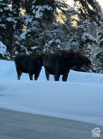 2043 S PINE MEADOWS DR, Coalville, UT 84017