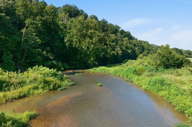 8167 Primm Springs Rd, Primm Springs, TN 38476