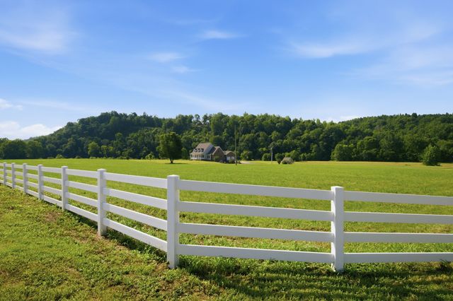 8167 Primm Springs Rd, Primm Springs, TN 38476
