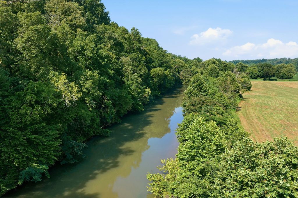 8167 Primm Springs Rd, Primm Springs, TN 38476