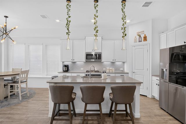 1737 Da Vinci Drive, Little Elm, TX 75068