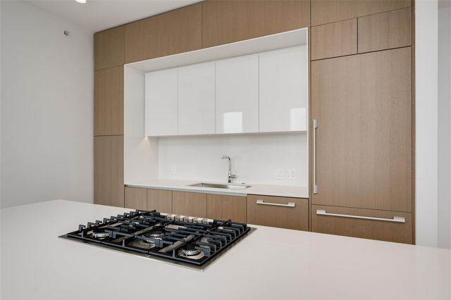 313 W 17th ST 1806, Austin, TX 78701