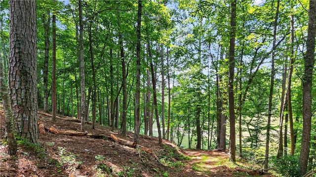 0 Overlook Way, Ellijay, GA 30540