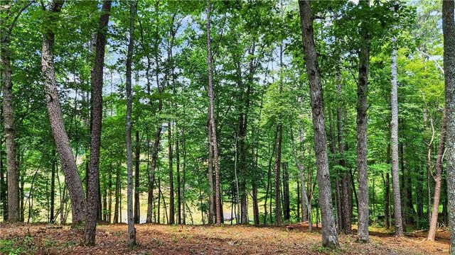 0 Overlook Way, Ellijay, GA 30540