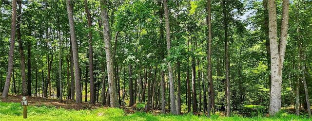 0 Overlook Way, Ellijay, GA 30540