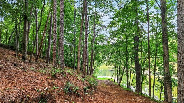 0 Overlook Way, Ellijay, GA 30540