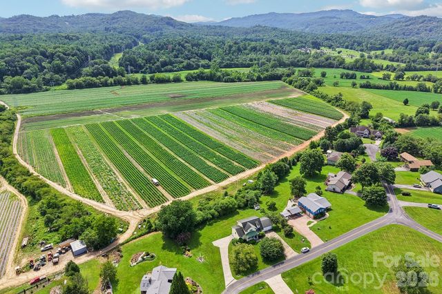 20 Amber Drive, Horse Shoe, NC 28742