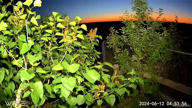 9151 Sun Country Drive, Elizabeth, CO 80107