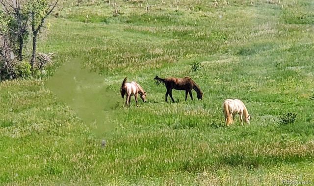 9151 Sun Country Drive, Elizabeth, CO 80107