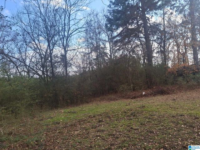 8475 COUNTY LINE ROAD, Sumiton, AL 35148