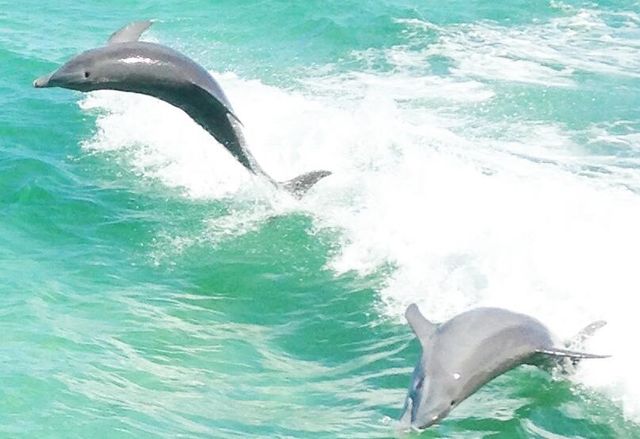 38 NW Poulton Drive, Fort Walton Beach, FL 32548