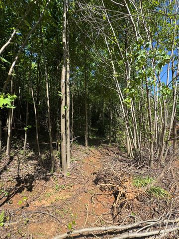 Lot 54 Billings Hill Church Road, Traphill, NC 28683