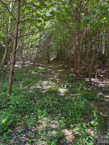 Lot 54 Billings Hill Church Road, Traphill, NC 28683