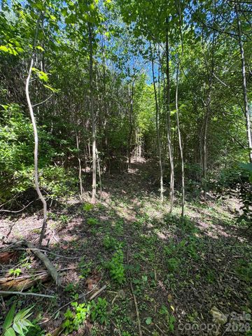 Lot 54 Billings Hill Church Road, Traphill, NC 28683
