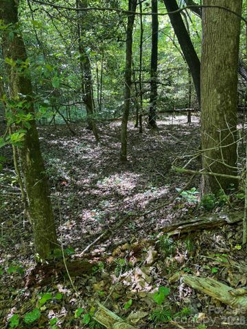 Lot 54 Billings Hill Church Road, Traphill, NC 28683