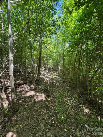 Lot 54 Billings Hill Church Road, Traphill, NC 28683