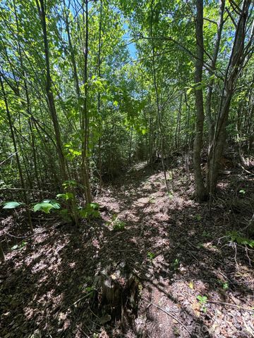 Lot 54 Billings Hill Church Road, Traphill, NC 28683
