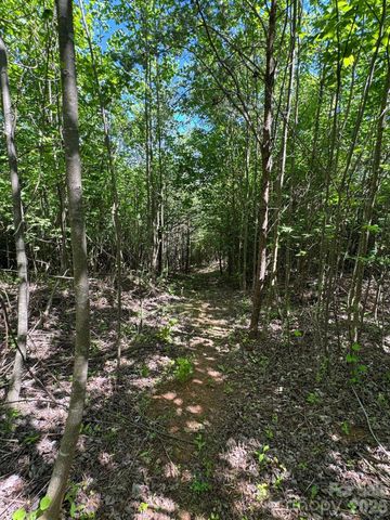 Lot 54 Billings Hill Church Road, Traphill, NC 28683