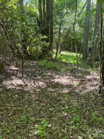 Lot 54 Billings Hill Church Road, Traphill, NC 28683