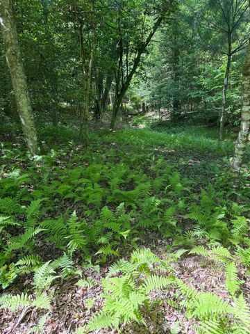 Lot 54 Billings Hill Church Road, Traphill, NC 28683