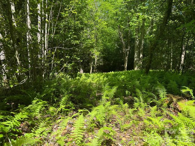 Lot 54 Billings Hill Church Road, Traphill, NC 28683