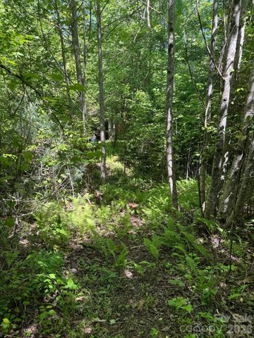 Lot 54 Billings Hill Church Road, Traphill, NC 28683