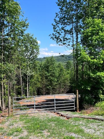 Lot 54 Billings Hill Church Road, Traphill, NC 28683