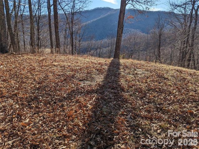 367 Kestrel Lane T-85, Black Mountain, NC 28711
