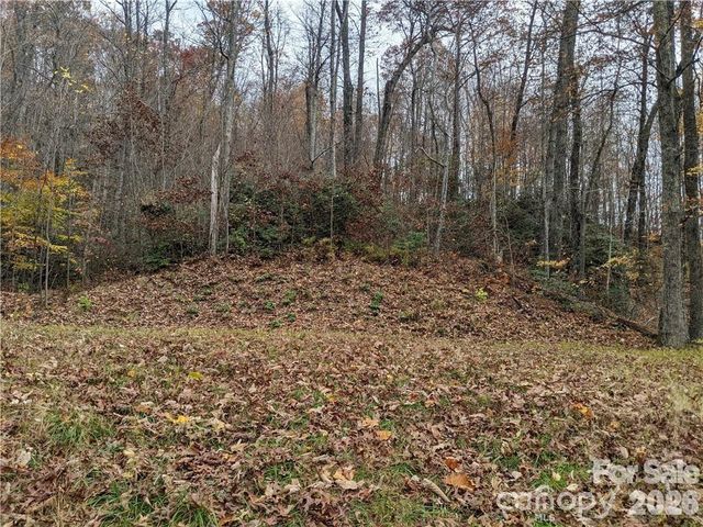 367 Kestrel Lane T-85, Black Mountain, NC 28711