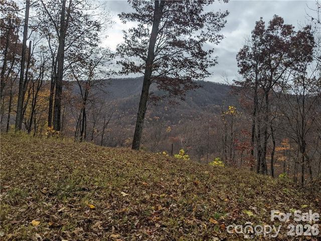 367 Kestrel Lane T-85, Black Mountain, NC 28711